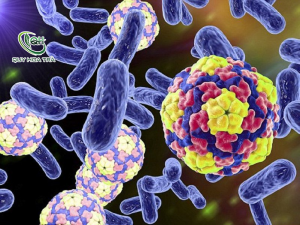 Bổ sung lợi khuẩn đường ruột là một cách để kiềm chế hại khuẩn