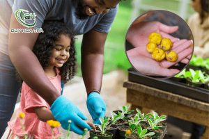 Cách chăm sóc cây trà hoa vàng rừng