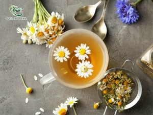 Uống trà hoa mỗi ngày