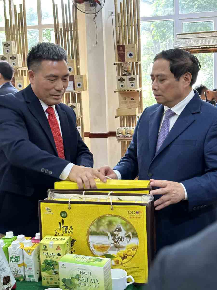 Thủ tướng Phạm Minh Chính đã trực tiếp ghé thăm gian hàng triển lãm trà hoa vàng Quy Hoa, đưa ra những lời khen, khích lệ để thương hiệu tiếp tục cải tiến trong tương lai