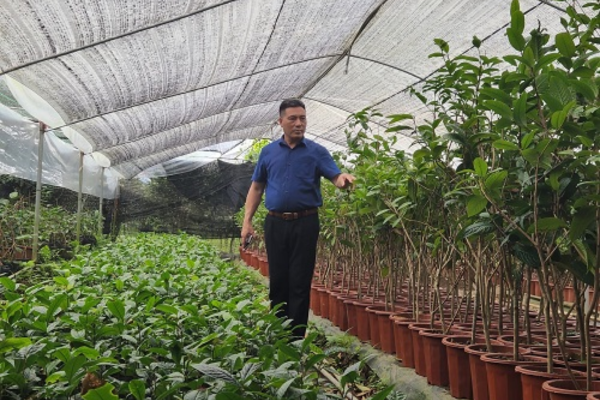 ông Lê Mạnh Quy tại địa chỉ thôn 5, xã Quảng Minh với thương hiệu ‘Quy Hoa Trà” nhờ tiên phong ứng dụng công nghệ cao để phát triển và bảo tồn vườn trà hoa vàng – dược liệu quý. 